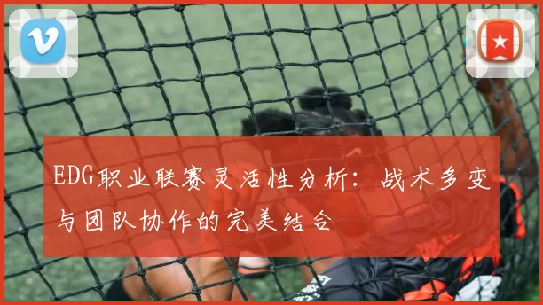 EDG职业联赛灵活性分析:战术多变与团队协作的完美结合