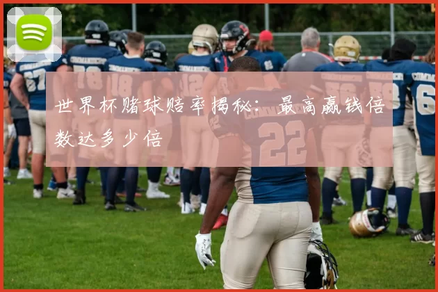 世界杯赌球赔率揭秘:最高赢钱倍数达多少倍