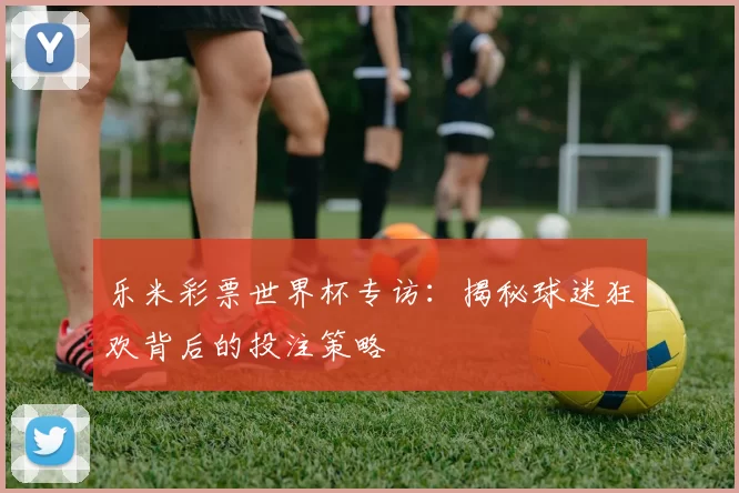 乐米彩票世界杯专访：揭秘球迷狂欢背后的投注策略