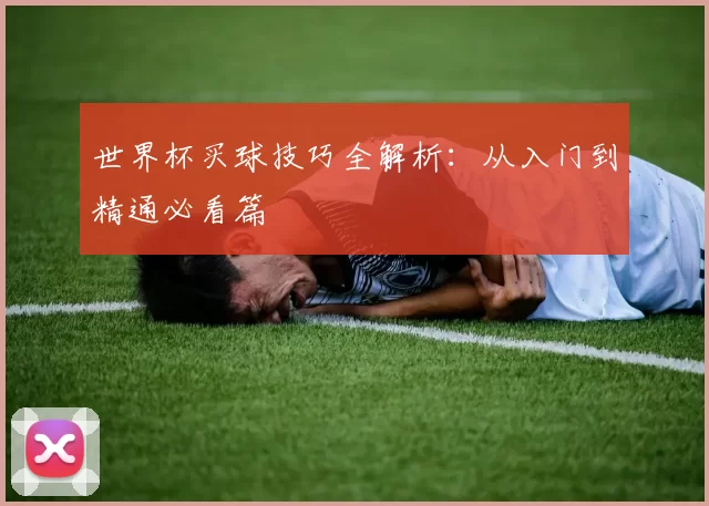 世界杯买球技巧全解析：从入门到精通必看篇