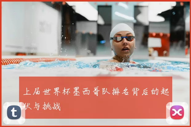上届世界杯墨西哥队排名背后的起伏与挑战