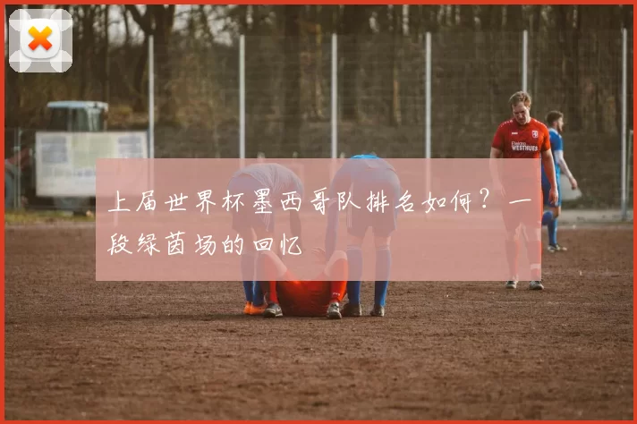 上届世界杯墨西哥队排名如何?一段绿茵场的回忆