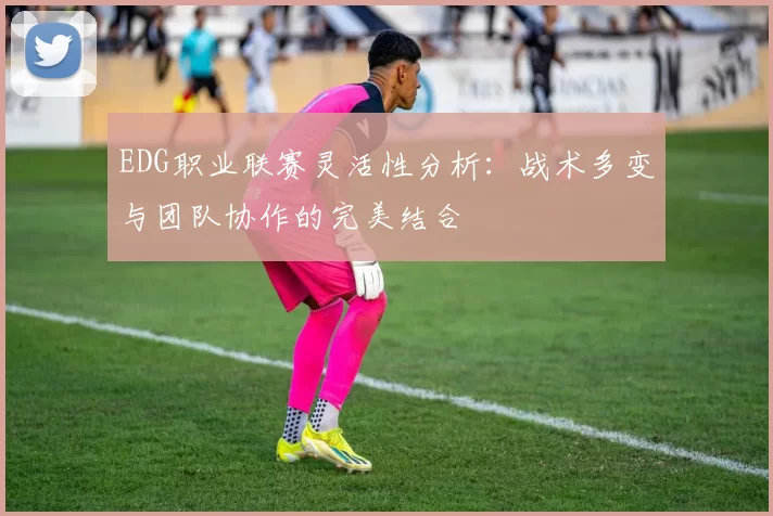 EDG职业联赛灵活性分析:战术多变与团队协作的完美结合