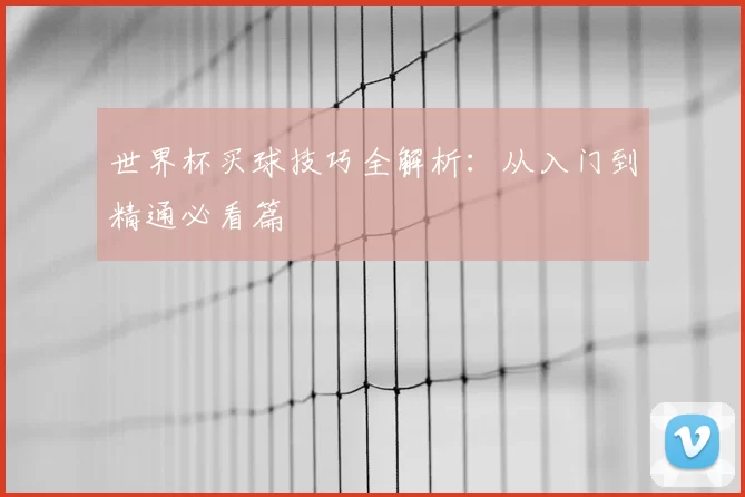 世界杯买球技巧全解析：从入门到精通必看篇
