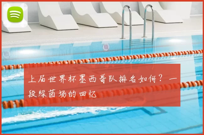 上届世界杯墨西哥队排名如何？一段绿茵场的回忆