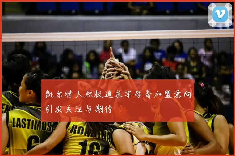 凯尔特人积极追求字母哥加盟意向引发关注与期待