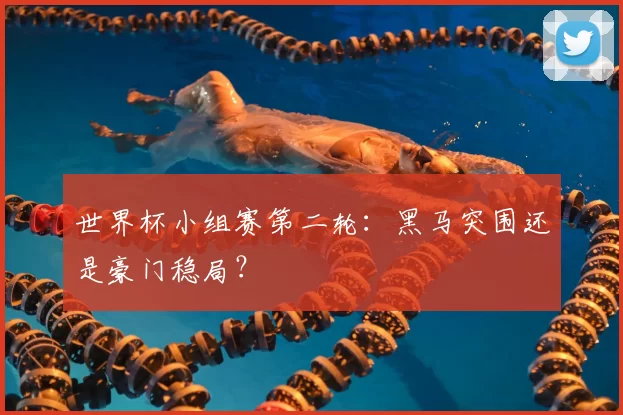 世界杯小组赛第二轮:黑马突围还是豪门稳局?