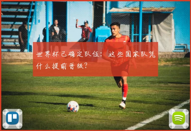 世界杯已确定队伍：这些国家队凭什么提前晋级？