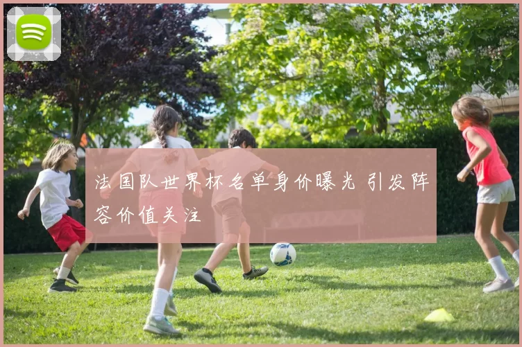 法国队世界杯名单身价曝光 引发阵容价值关注