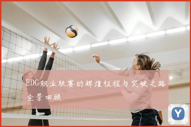 EDG职业联赛的辉煌征程与突破之路全景回顾